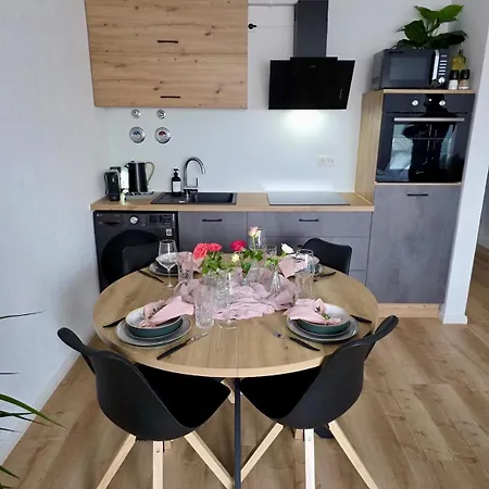 Pfalz-Studio Speyer Zentrum-Wlan-Netflix-Private Parkplaetze Vorhanden