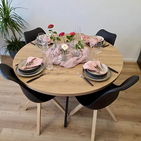 Appartement Pfalz-Studio Speyer Zentrum-Wlan-Netflix-Private Parkplaetze Vorhanden