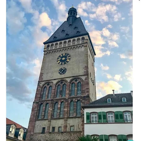 Appartement Pfalz-Studio Speyer Zentrum-Wlan-Netflix-Private Parkplaetze Vorhanden Speyer